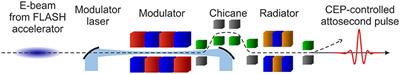 Carrier-Envelope-Phase Controlled Attosecond Pulse Generation by Undulator Radiation